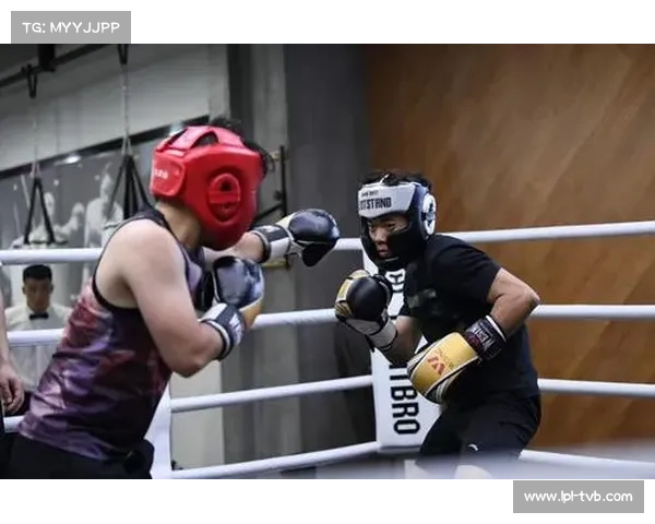 我国拳击赛事市场化运作问题分析：赛事策划创新不足、营销手段单一